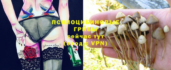 мяу мяу мука Гусь-Хрустальный