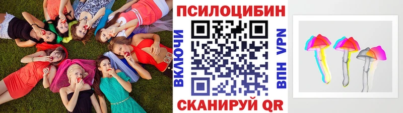 что такое   Избербаш  hydra зеркало  Галлюциногенные грибы Magic Shrooms 